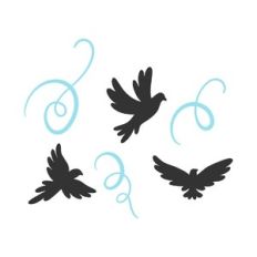 birds