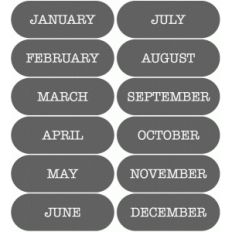 echo park month labels