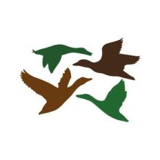 ducks silhouette