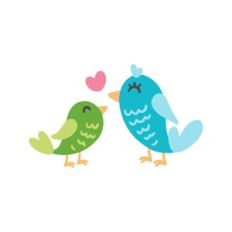 birds