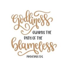proverbs 13:6