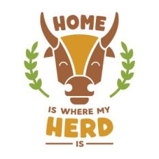 home is where my herd is