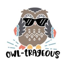 owl-trageous