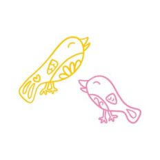 birds