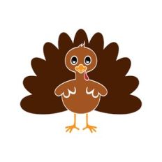 turkey