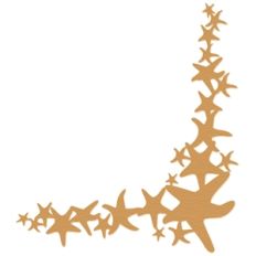 starfish corner
