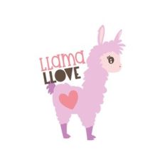 llama llove