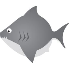 chubby shark