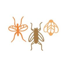 bugs