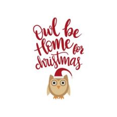 owl be home for christmas
