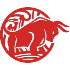 chinese new year