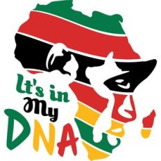 let's in my dan