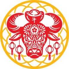 chinese new year