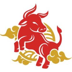 chinese new year