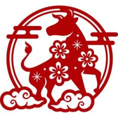 chinese new year