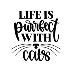life is purfect with cats