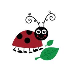 ladybug
