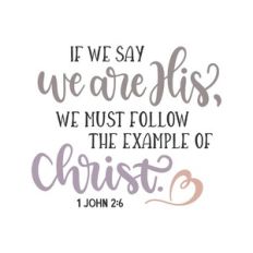 1 john 2:16