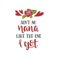 ain't no nana like the one i got