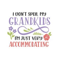 i don't spoil my grandkids, i'm just very accommodating