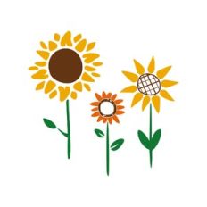 sunflowers