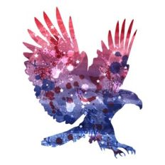 american eagle patriot print and cut