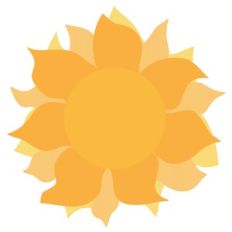 sunny sunshine sun