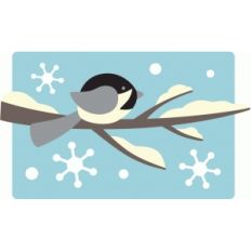 chickadee