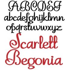 pn scarlett begonia