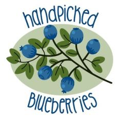 blueberry branch
