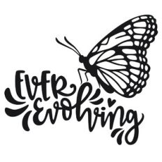 ever evolving butterfly