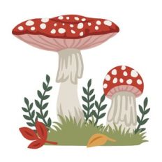 toadstool mushrooms and leaves