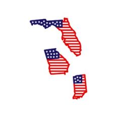 stars and stripes: florida - georgia - indiana