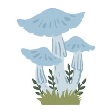 woodland mushrooms blue
