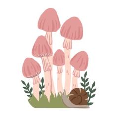 woodland mushrooms pink