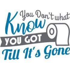 you don't know what you got till it's gone