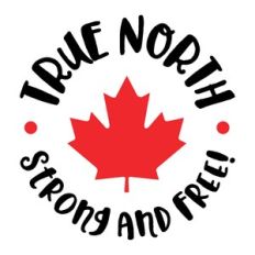 true north