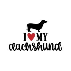 i love my dachshund