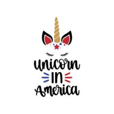 unicorn in america