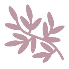 plant stem