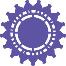 frame lace design