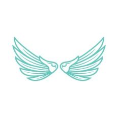 wings