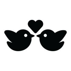 lovely birds