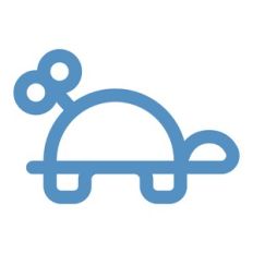 wind up tortoise