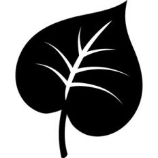 simple leaves