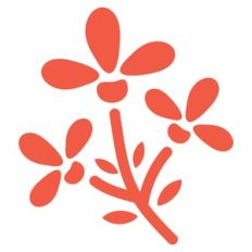 autumn flower