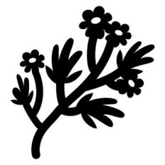 plants on branch