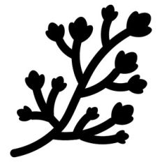 plants on branch
