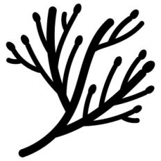 plants on branch