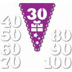 seniors birthday bunting